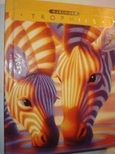 Cover art for Florida Pre Level 3-1 Grade 3 Trophies 2003