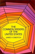 Cover art for The Common Spiders of the United States