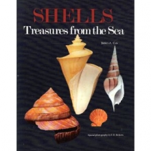 Cover art for Shells Treasures from the Sea