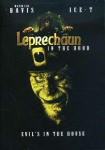 Cover art for Leprechaun In the Hood
