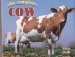 Cover art for The Complete Cow: An Udderly Entertaining History of Dairy & Beef Cows of the World