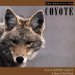 Cover art for The World of the Coyote