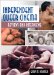 Cover art for Independent Queer Cinema: Reviews and Interviews