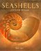 Cover art for Seashells: Jewels from the Ocean