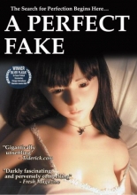 Cover art for A Perfect Fake