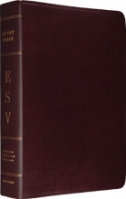 Cover art for ESV Study Bible (Burgundy) (Esv Bible)