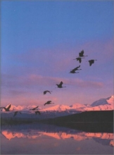 Cover art for Biology: With Info Trac Concepts and Applications