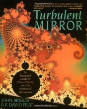 Cover art for Turbulent Mirror: An Illustrated Guide to Chaos Theory and the Science of Wholeness