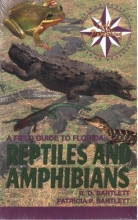 Cover art for A Field Guide to Florida Reptiles and Amphibians (Excluding Snakes) (Gulf Publishing Field Guides)