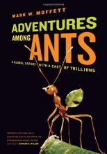 Cover art for Adventures Among Ants: A Global Safari with a Cast of Trillions