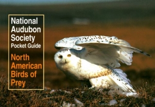 Cover art for National Audubon Society Pocket Guide to North American Birds of Prey (National Audubon Society Pocket Guides)