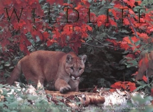 Cover art for Wildlife of North America