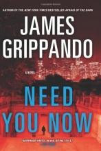 Cover art for Need You Now: A Novel