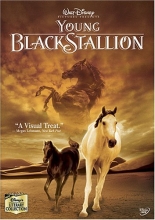Cover art for Young Black Stallion