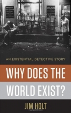 Cover art for Why Does the World Exist?: An Existential Detective Story
