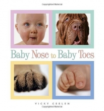 Cover art for Baby Nose to Baby Toes