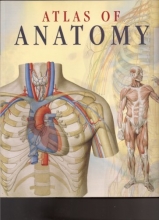 Cover art for Atlas of Human Anatomy