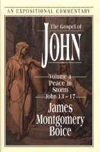 Cover art for Peace in the Storm (Gospel of John)