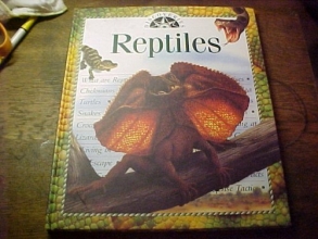 Cover art for Reptiles - Discoveries