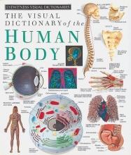 Cover art for Eyewitness Visual Dictionaries: The Visual Dictionary of the Human Body (DK Visual Dictionaries)
