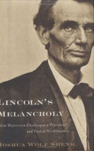 Cover art for Lincoln's Melancholy: How Depression Challenged a President and Fueled His Greatness