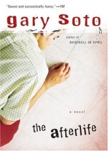 Cover art for The Afterlife