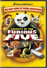 Cover art for Secrets of the Furious Five