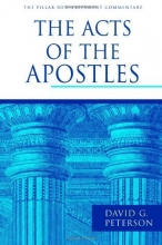 Cover art for The Acts of the Apostles (Pillar New Testament Commentary)