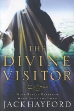 Cover art for The Divine Visitor