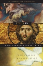 Cover art for Jesus in Trinitarian Perspective: An Introductory Christology