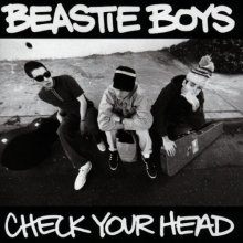 Cover art for Check Your Head