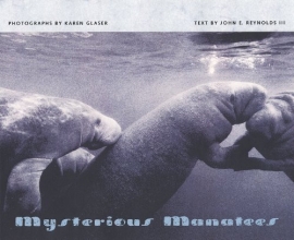 Cover art for Mysterious Manatees: Photographs by Karen Glaser