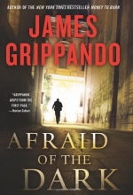 Cover art for Afraid of the Dark (Jack Swyteck)