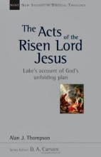 Cover art for The Acts of the Risen Lord Jesus: Luke's Account of God's Unfolding Plan (New Studies in Biblical Theology)