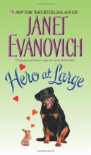 Cover art for Hero at Large