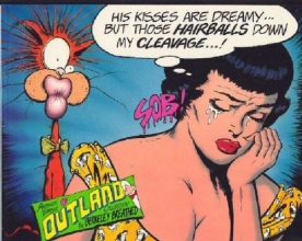 Cover art for His Kisses Are Dreamy...but Those Hairballs Down My Cleavage...!: Another Tender Outland Collection
