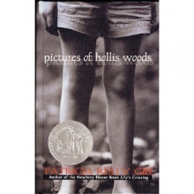 Cover art for Pictures of Hollis Woods