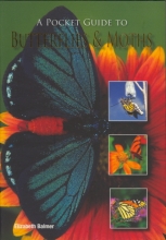 Cover art for A Pocket Guide to Butterflies & Moths