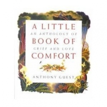 Cover art for Little Book of Comfort