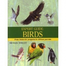 Cover art for Expert Guide: Birds