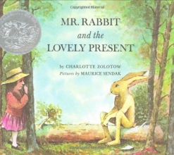 Cover art for Mr. Rabbit and the Lovely Present