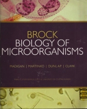 Cover art for Brock Biology of Microorganisms (2009 3rd Custom Ed. University of Central Florida) (PB)