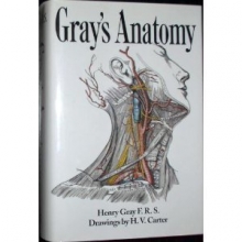 Cover art for Grays Anatomy