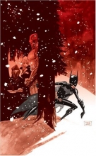 Cover art for Batgirl: Destruction's Daughter