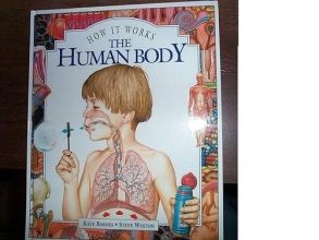 Cover art for The human body (How it works)