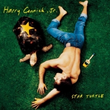 Cover art for Star Turtle