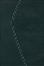 Cover art for Zondervan TNIV Study Bible