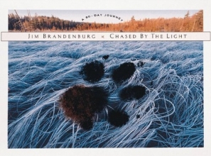 Cover art for Chased by the Light: A 90-Day Journey