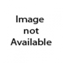 Cover art for Tsunamis and Other Natural Disasters (Magic Tree House Research Guide)