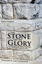Cover art for The Stone and the Glory: Lessons on the Temple Presence and the Glory of God